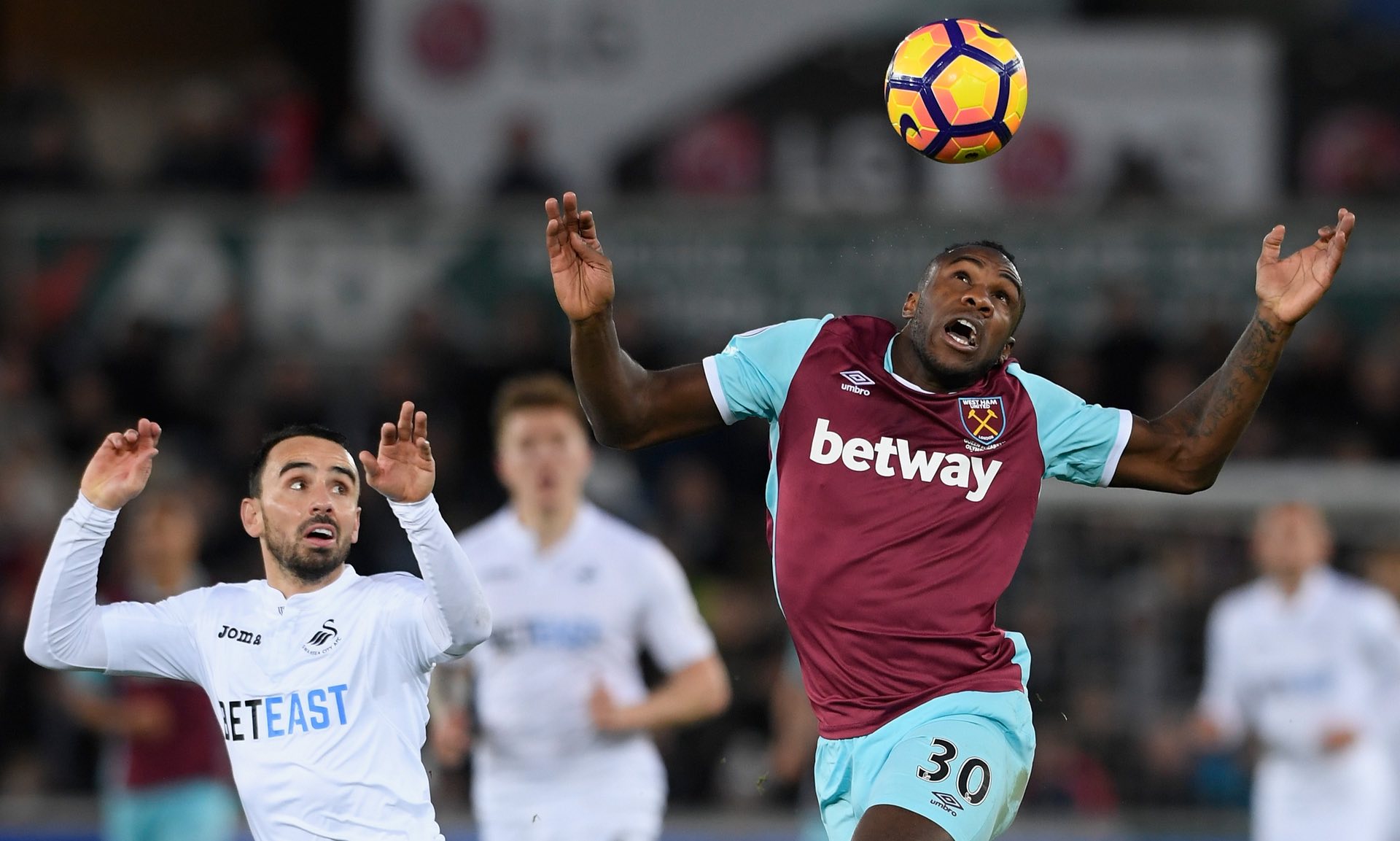 赛事组织者 赛事组织者