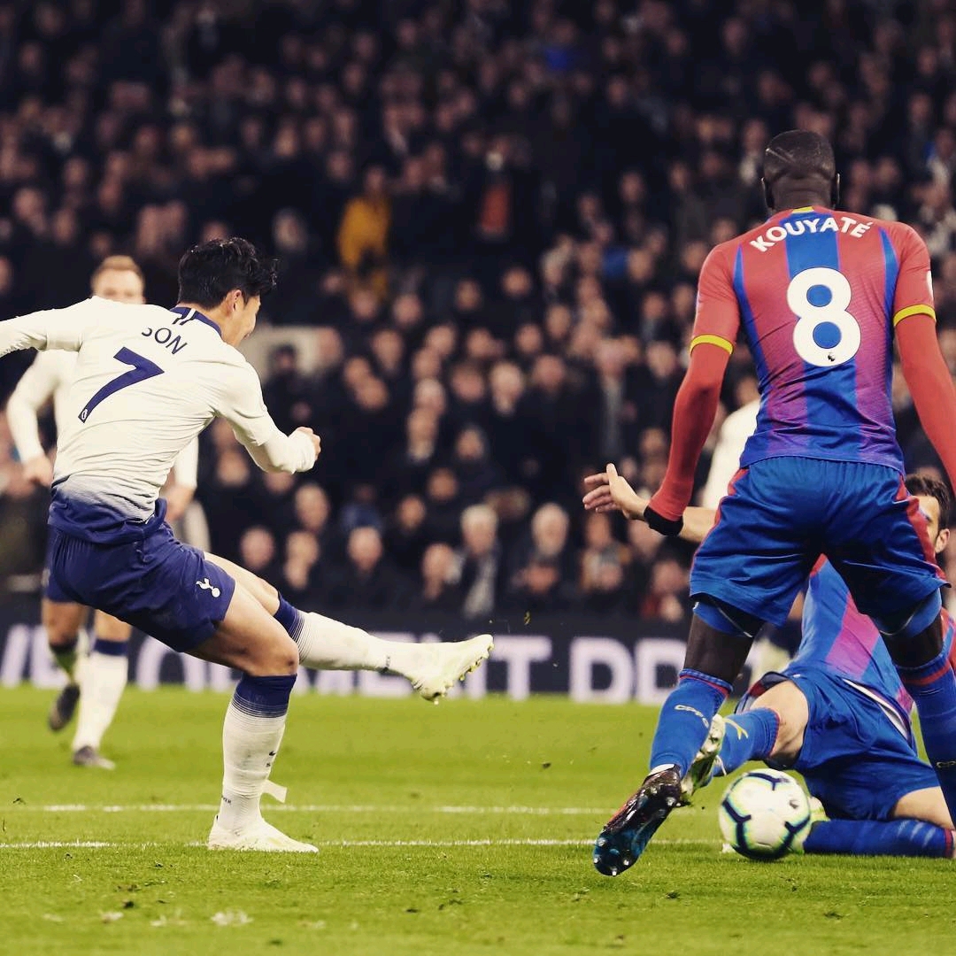 了广泛关注 了广泛关注